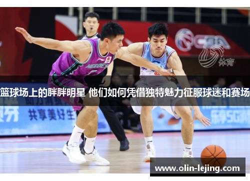 篮球场上的胖胖明星 他们如何凭借独特魅力征服球迷和赛场